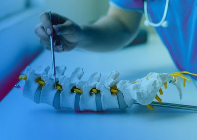 Close-up of a clinician pointing to a spine model to illustrate a spinal structure.